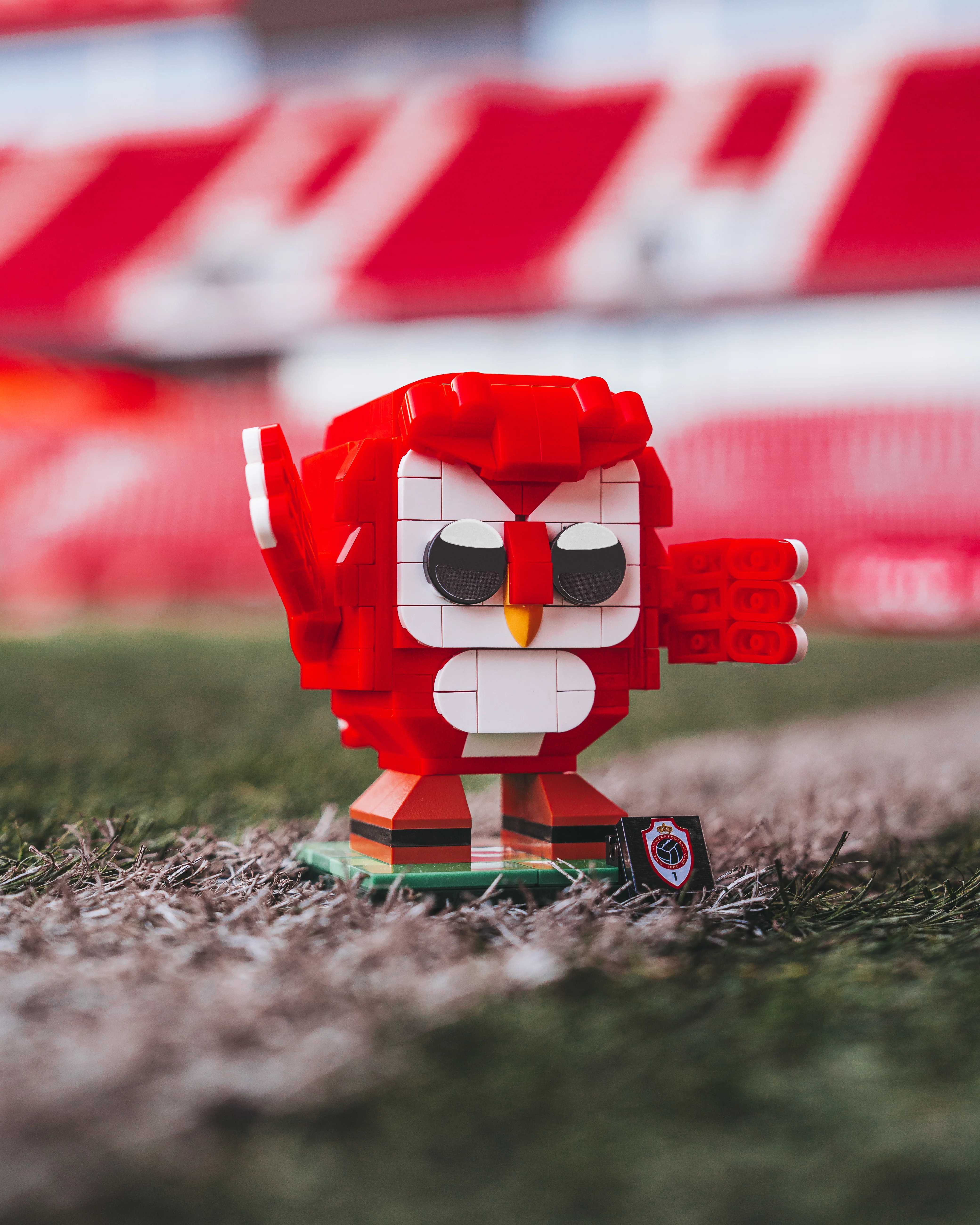 Royal Antwerp FC Bricks 'Bosuil' - Image 2
