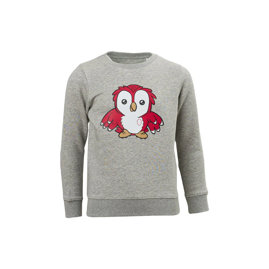 Royal Antwerp FC 'Bosuil' Sweater Grijs - Junior - Image 4
