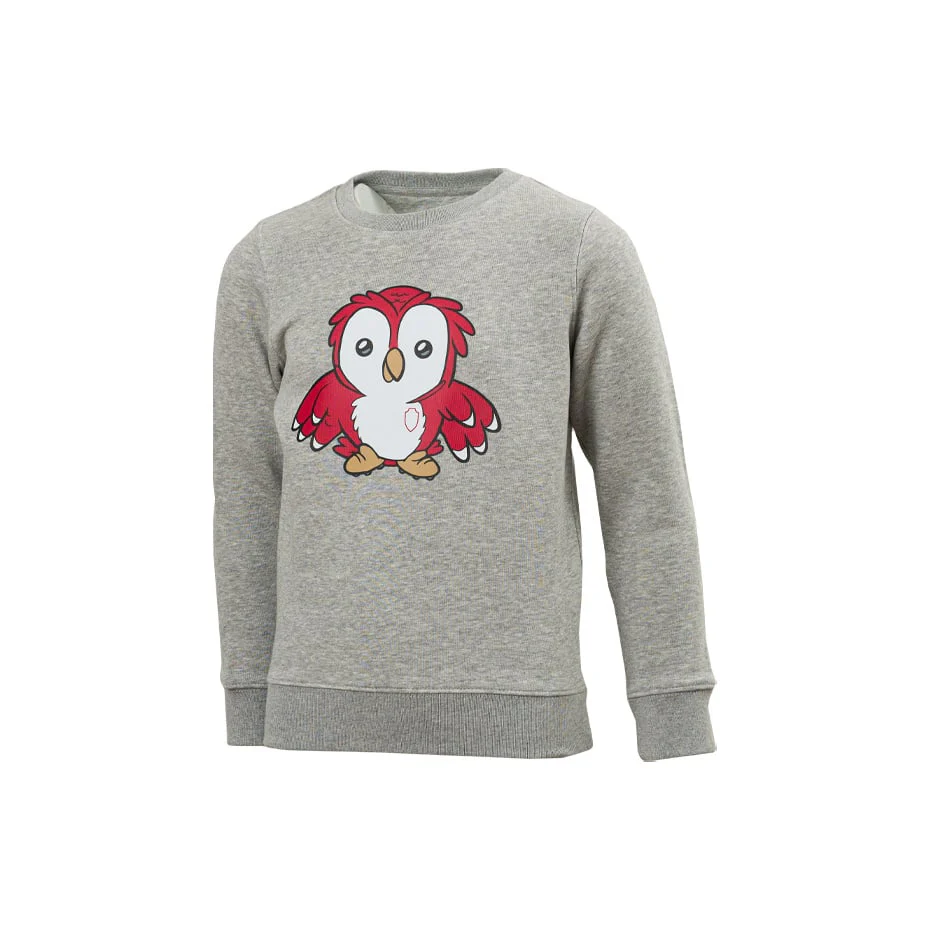 Royal Antwerp FC 'Bosuil' Sweater Grijs - Junior - Image 5